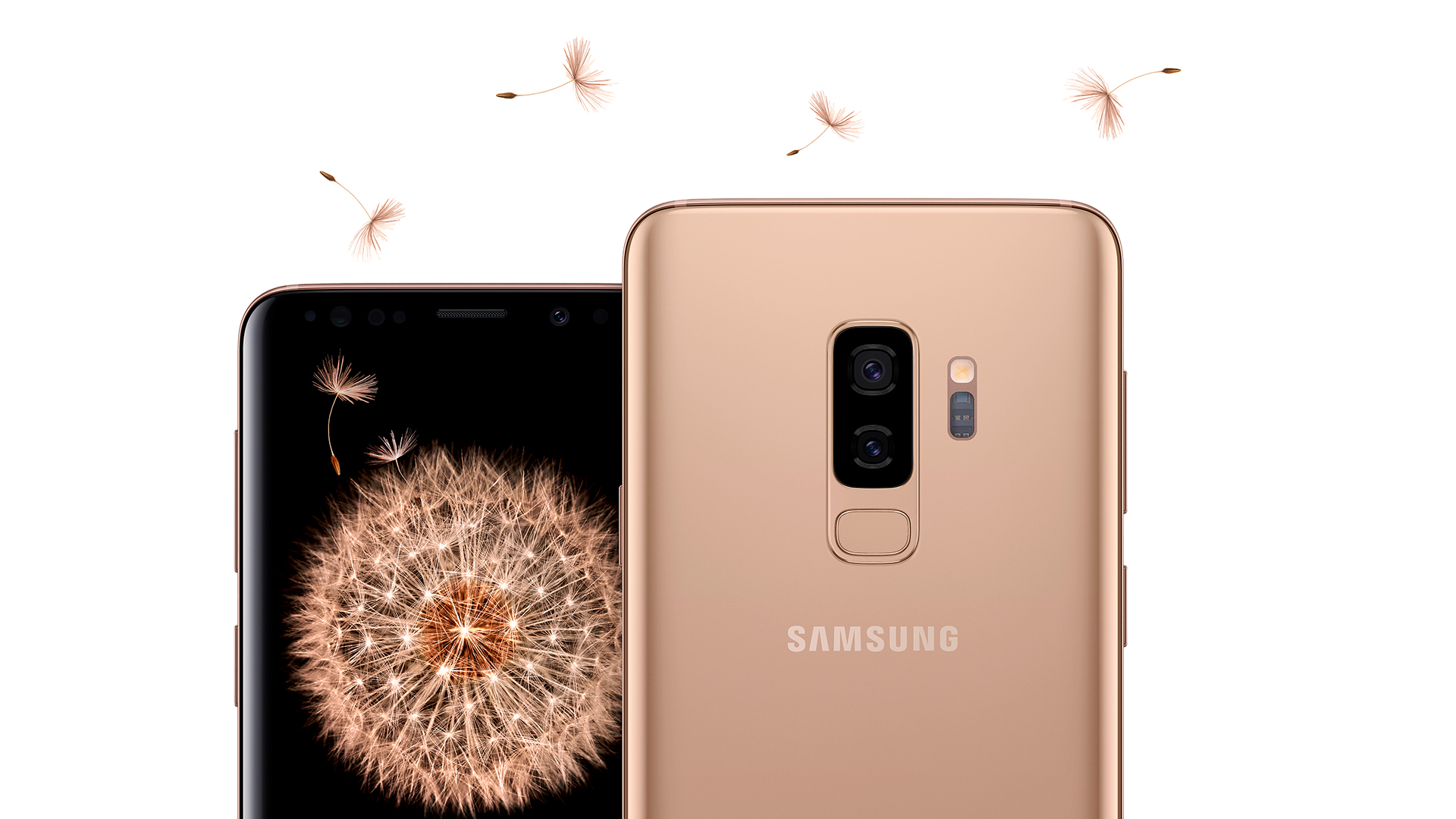 Samsung Galaxy S9 Sunrise Gold - Samsung Galaxy S9 And S9+ Sunrise Gold - HD Wallpaper 