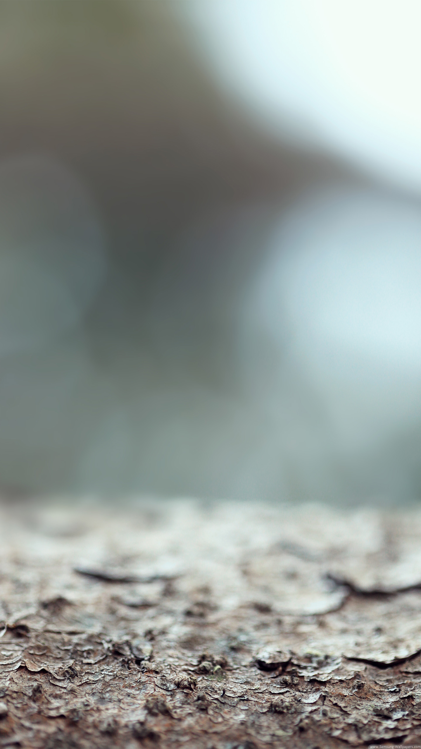 Background Screen Galaxy S5 - HD Wallpaper 