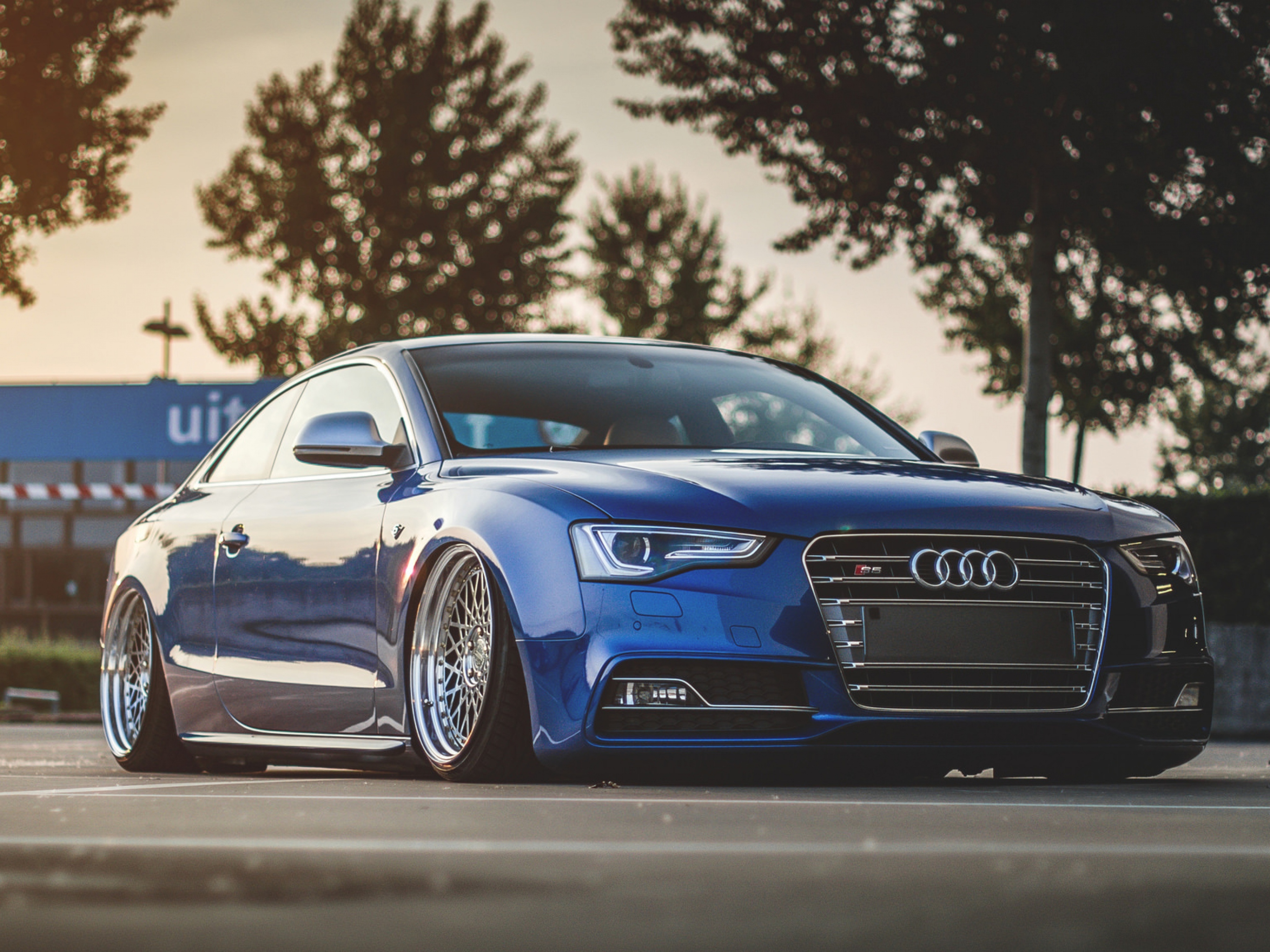 Blue Audi S5 Wallpaper Hd - Audi S5 Tuning - HD Wallpaper 