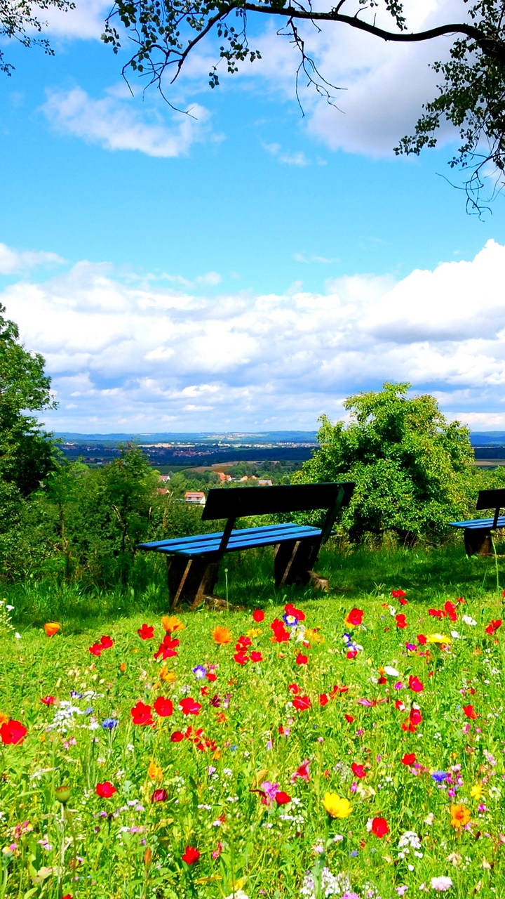 Wallpaper Trees, Benches, Flowers, Nature - Beautiful Nature Flower Wallpaper Hd For Mobile - HD Wallpaper 