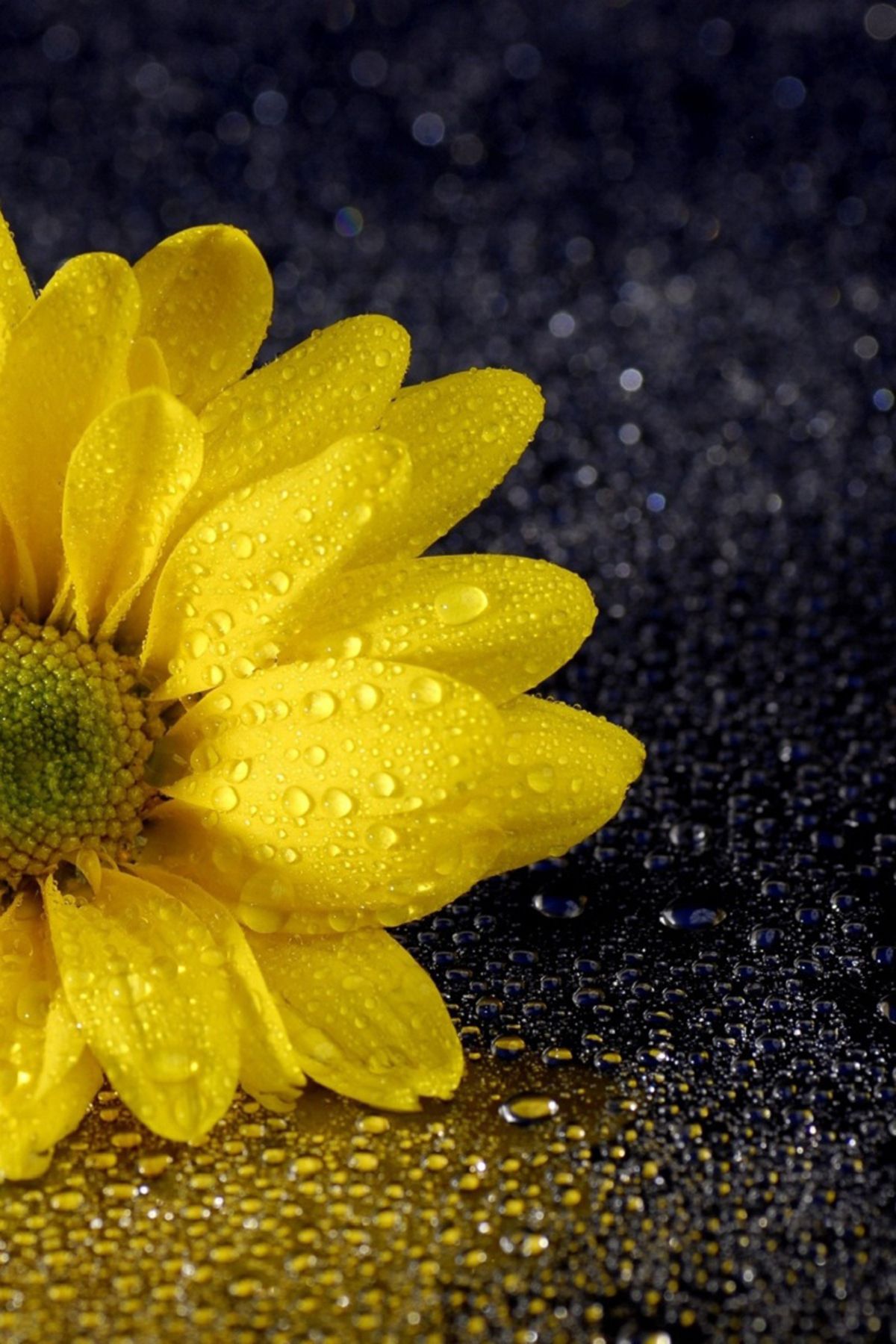 Mobile Phone - HD Wallpaper 