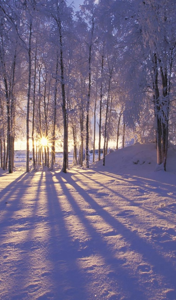 Winter Wonderland Wallpaper Iphone - HD Wallpaper 