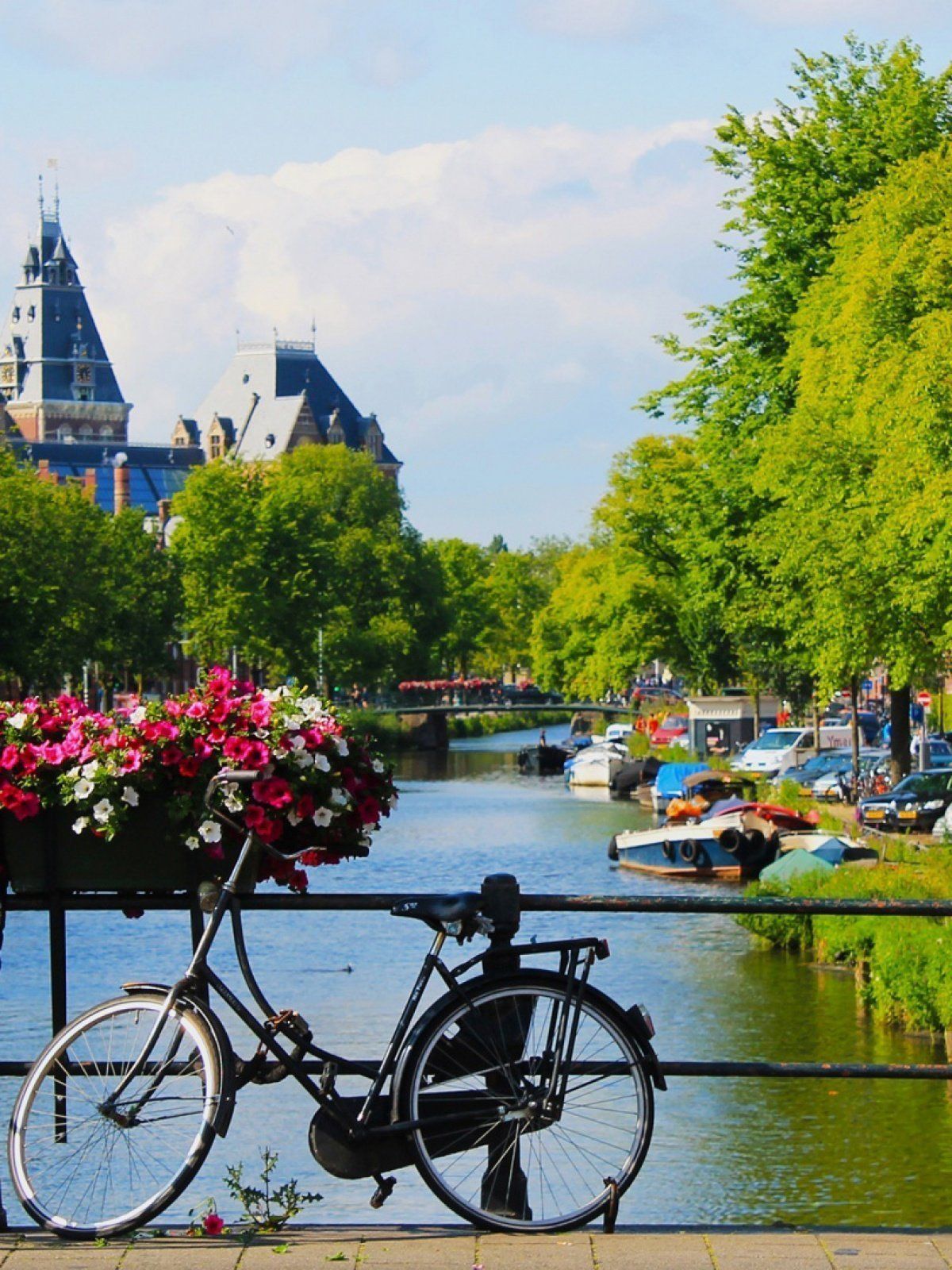 Amsterdam Summer Wallpaper Phone - HD Wallpaper 