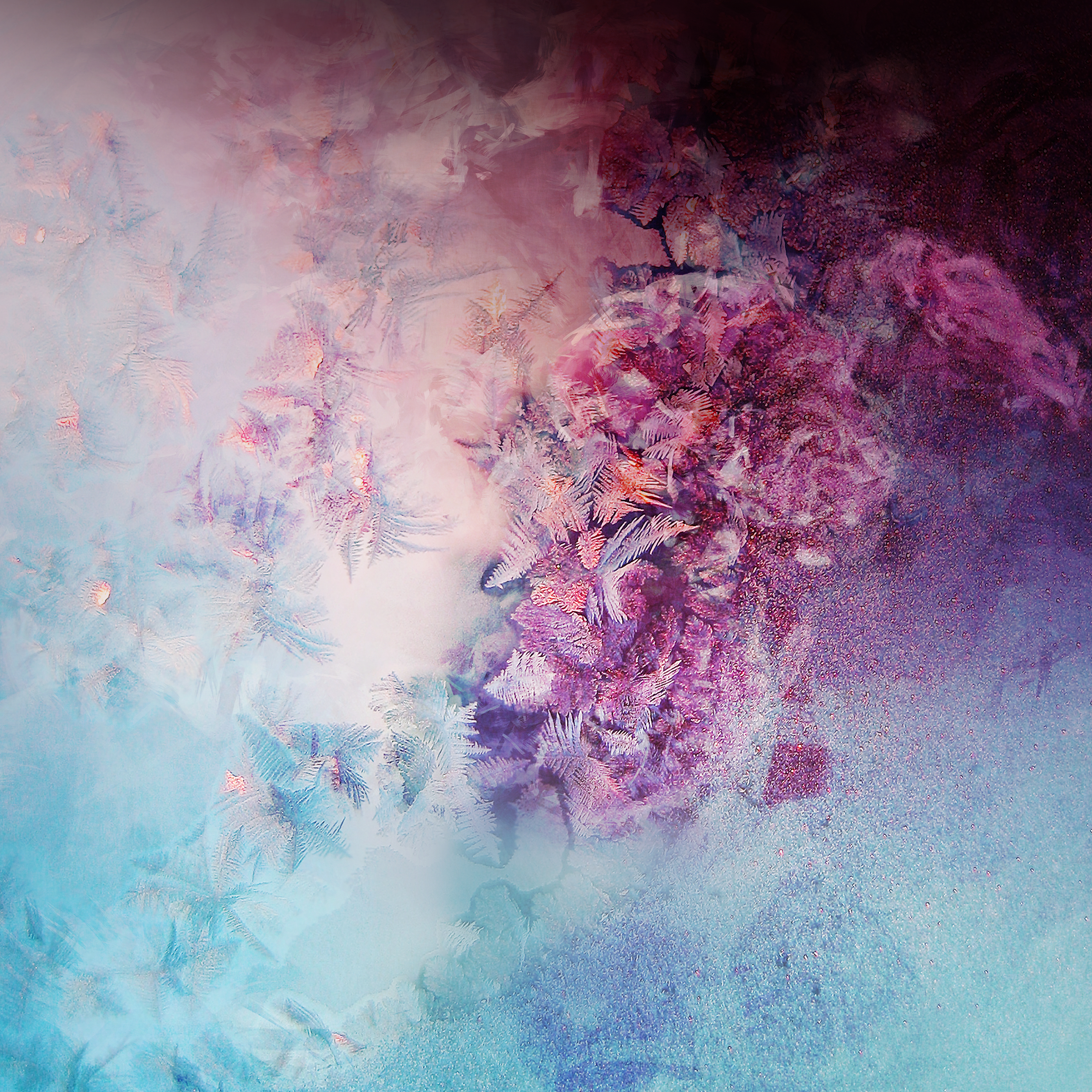 Samsung Galaxy Note 10 Plus Hd - 2560x2560 Wallpaper Samsung Galaxy Note 10 Plus Hd - 2560x2560 Wallpaper