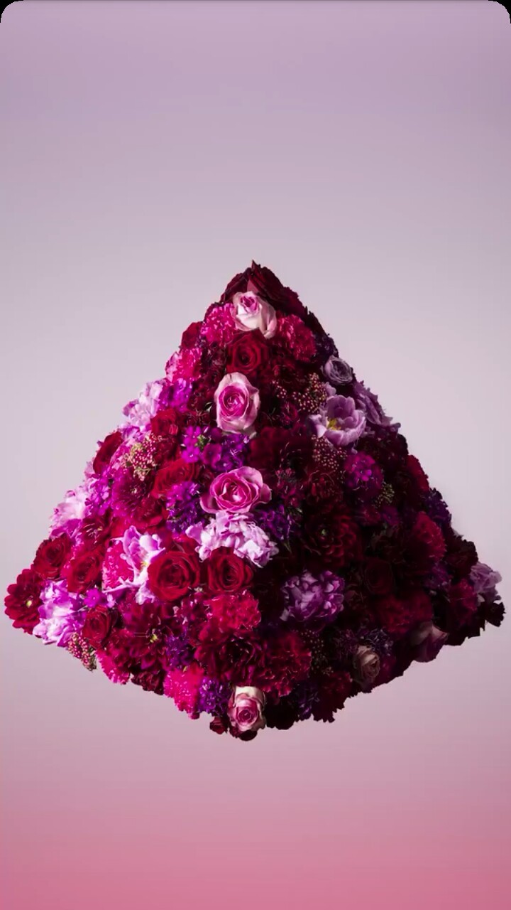 Flower Wallpaper, Iphone Wallpaper And Pink Flowers - Jonathan Knowles Photography - HD Wallpaper 