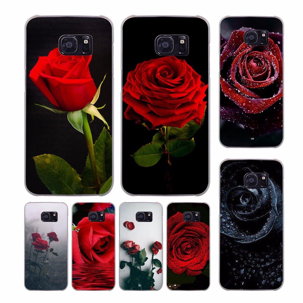 Rose Wallpaper Samsung S8 Plus - HD Wallpaper 