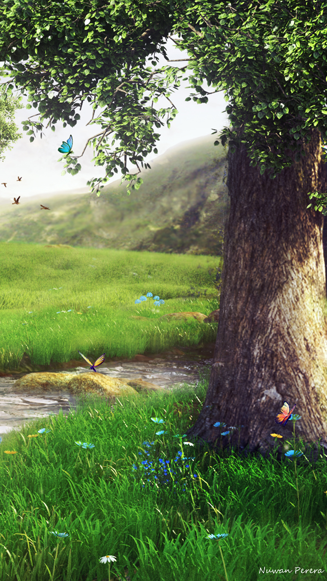 Galaxy S4 Wallpaper - Grass - HD Wallpaper 