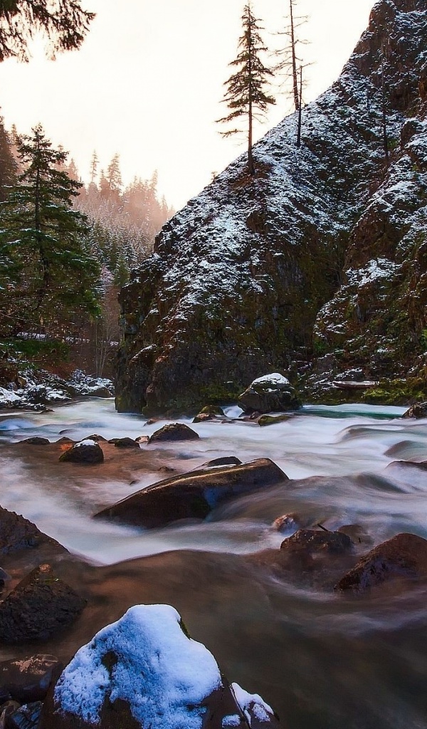 Wallpaper - HD Wallpaper 