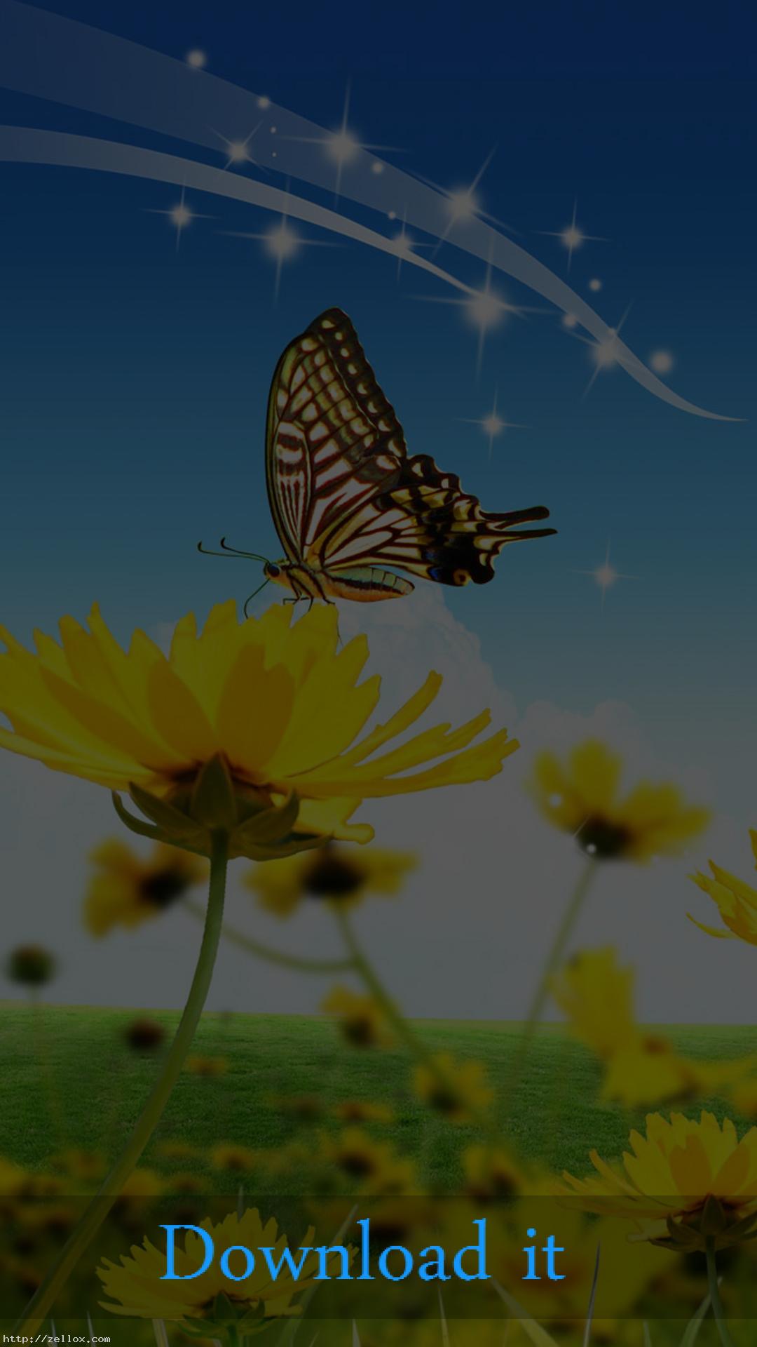 Beautiful Flowers - HD Wallpaper 