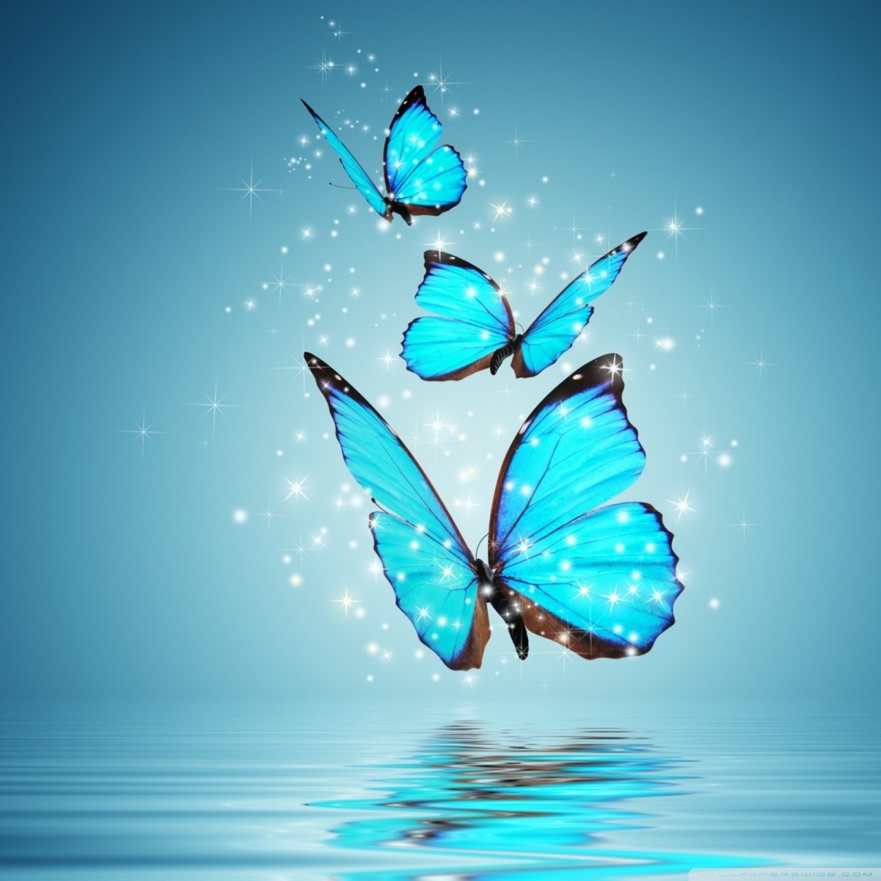 Blue Butterflies - HD Wallpaper 