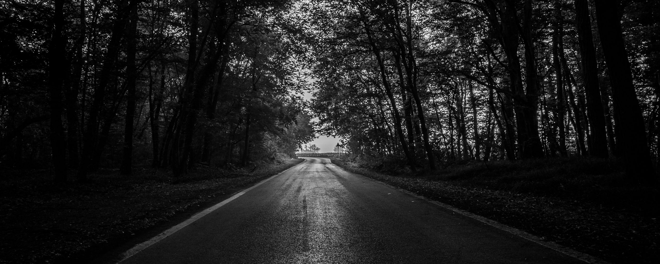 Wallpaper Road, Trees, Bw, Dark, Forest - Dark Forest Background 4k -  2560x1024 Wallpaper 