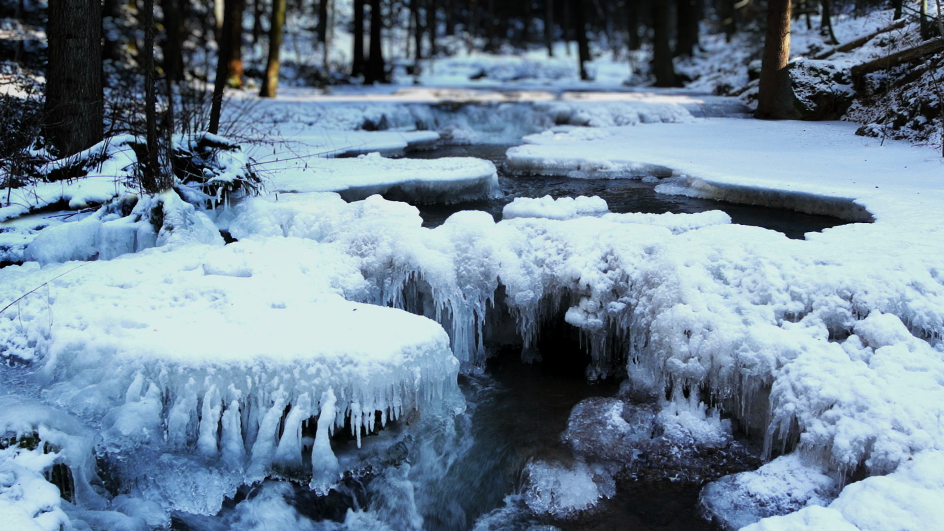 2014 01 15 En Au9732244175 Icy Creek In Bavarian Forest - Quotes About Fight In Relationship - HD Wallpaper 