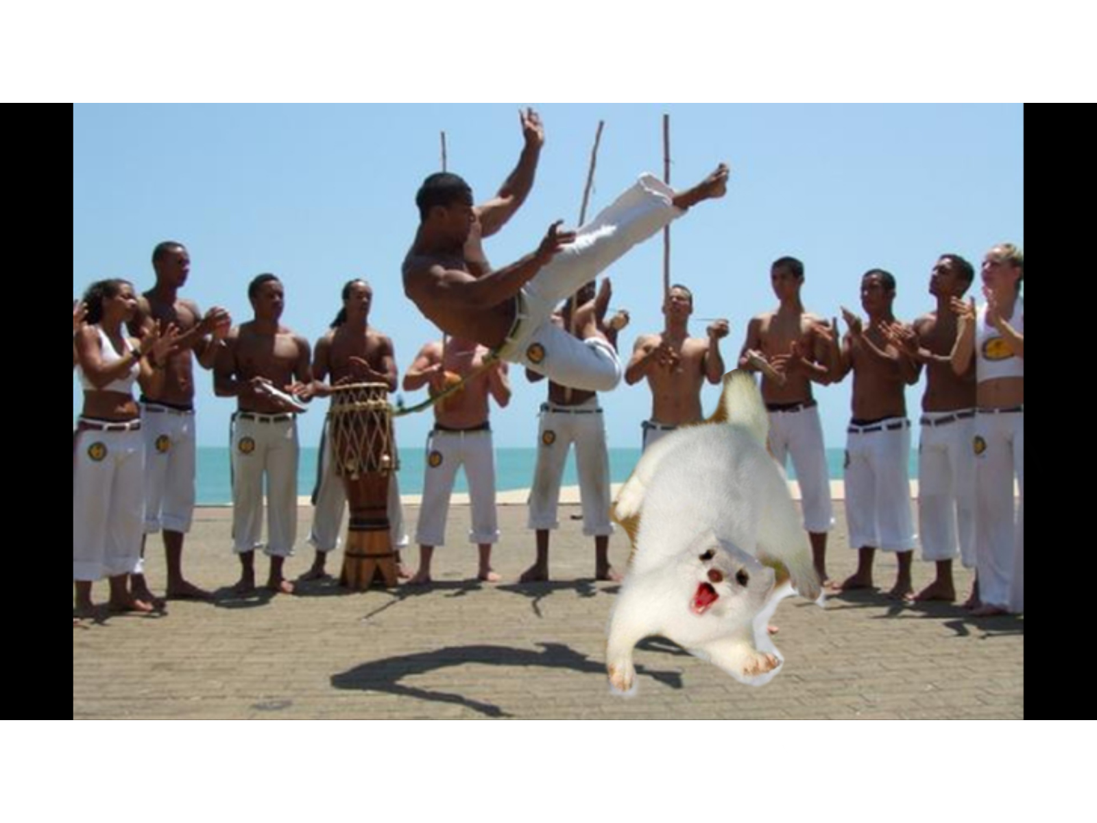 Capoeira - HD Wallpaper 