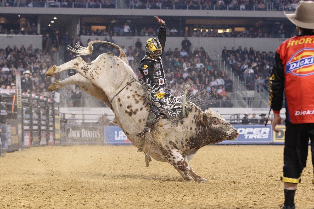 Pro Bull Riders - HD Wallpaper 