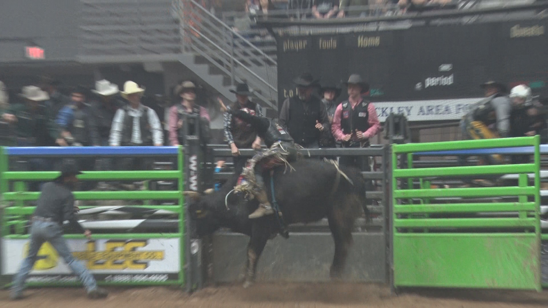 Bull Riding - 1920x1080 Wallpaper - teahub.io