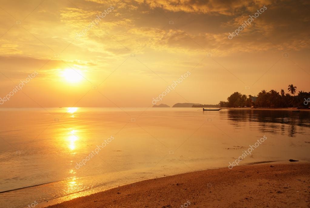 Reflection - HD Wallpaper 