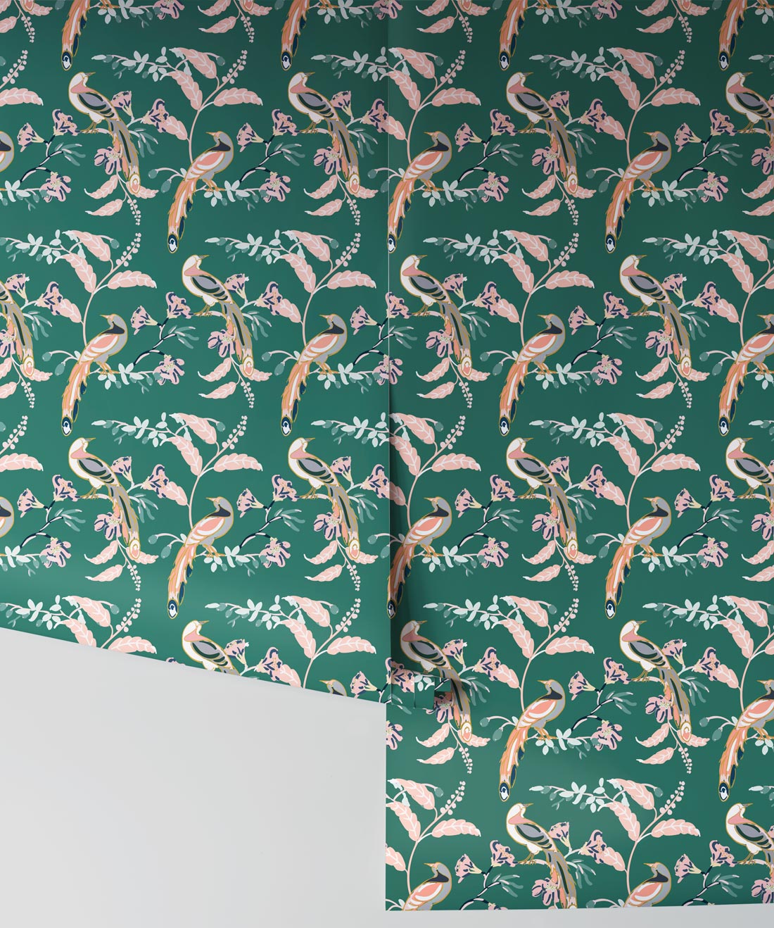 Board Short - HD Wallpaper 