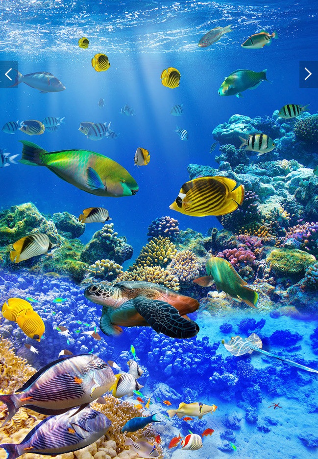 Ocean Beautiful Wallpaper Fish - HD Wallpaper 