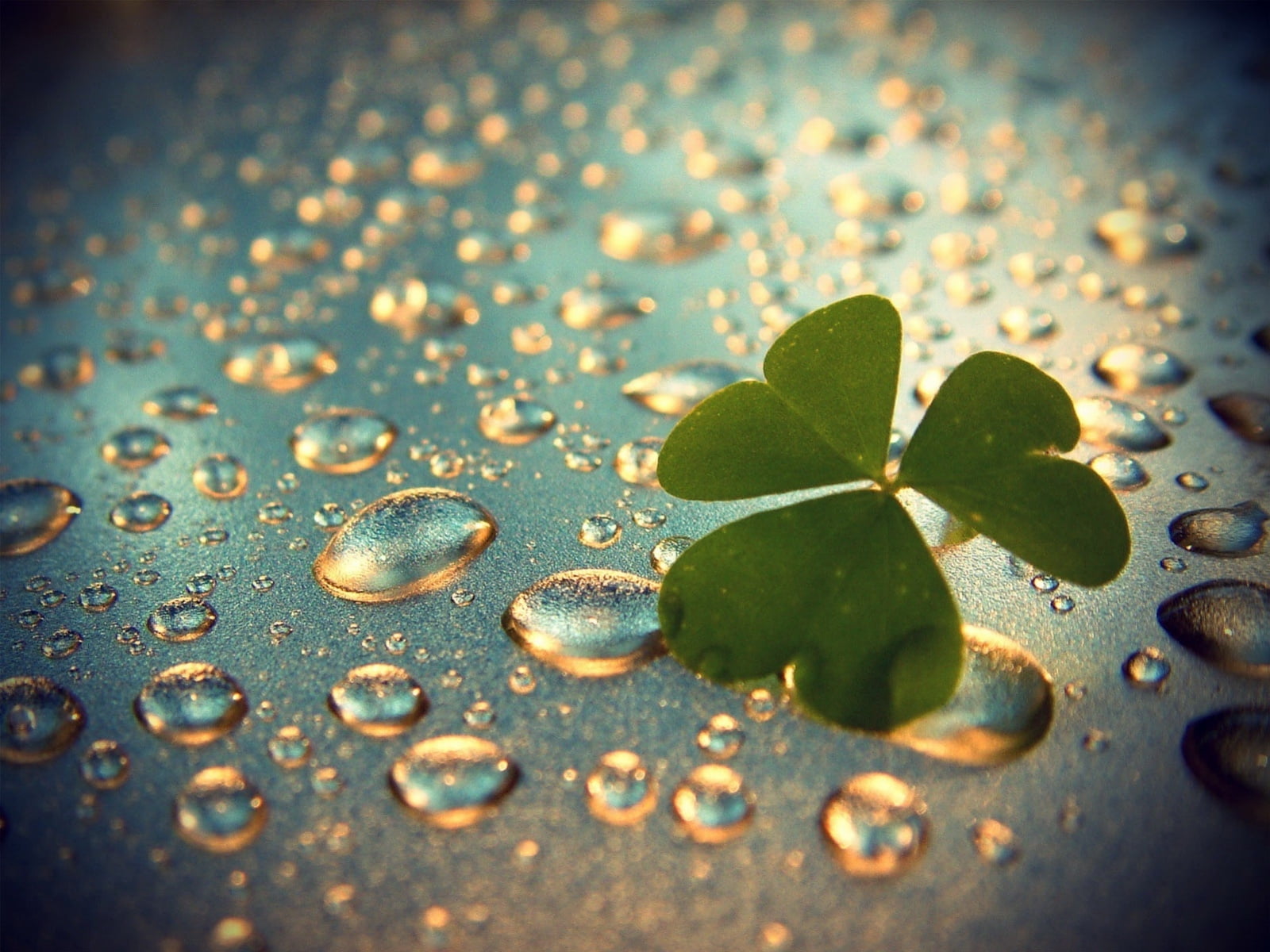Beautiful Rain Wallpaper Hd - 1600x1200 Wallpaper Beautiful Rain Wallpaper Hd - 1600x1200 Wallpaper