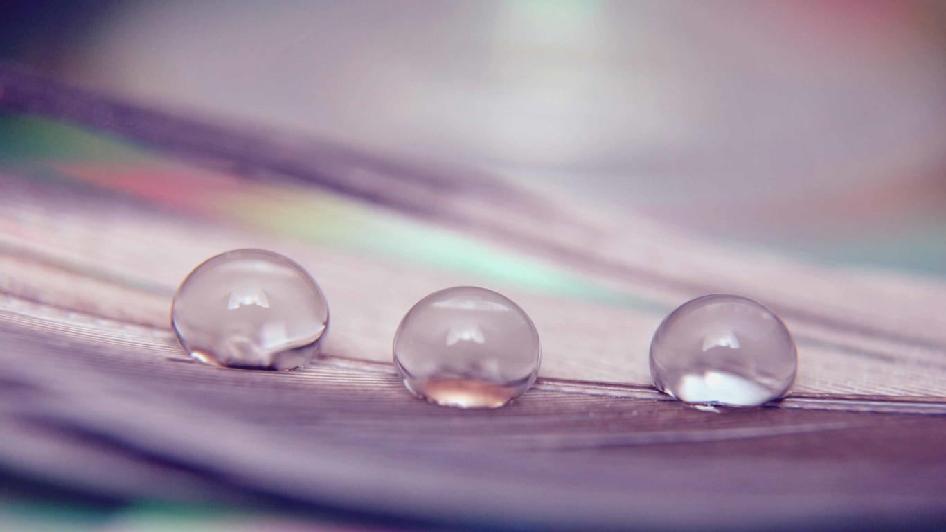 Wallpaper - HD Wallpaper 