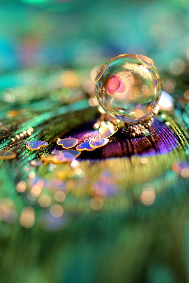 Peacock Feather With Water Droplets - HD Wallpaper 