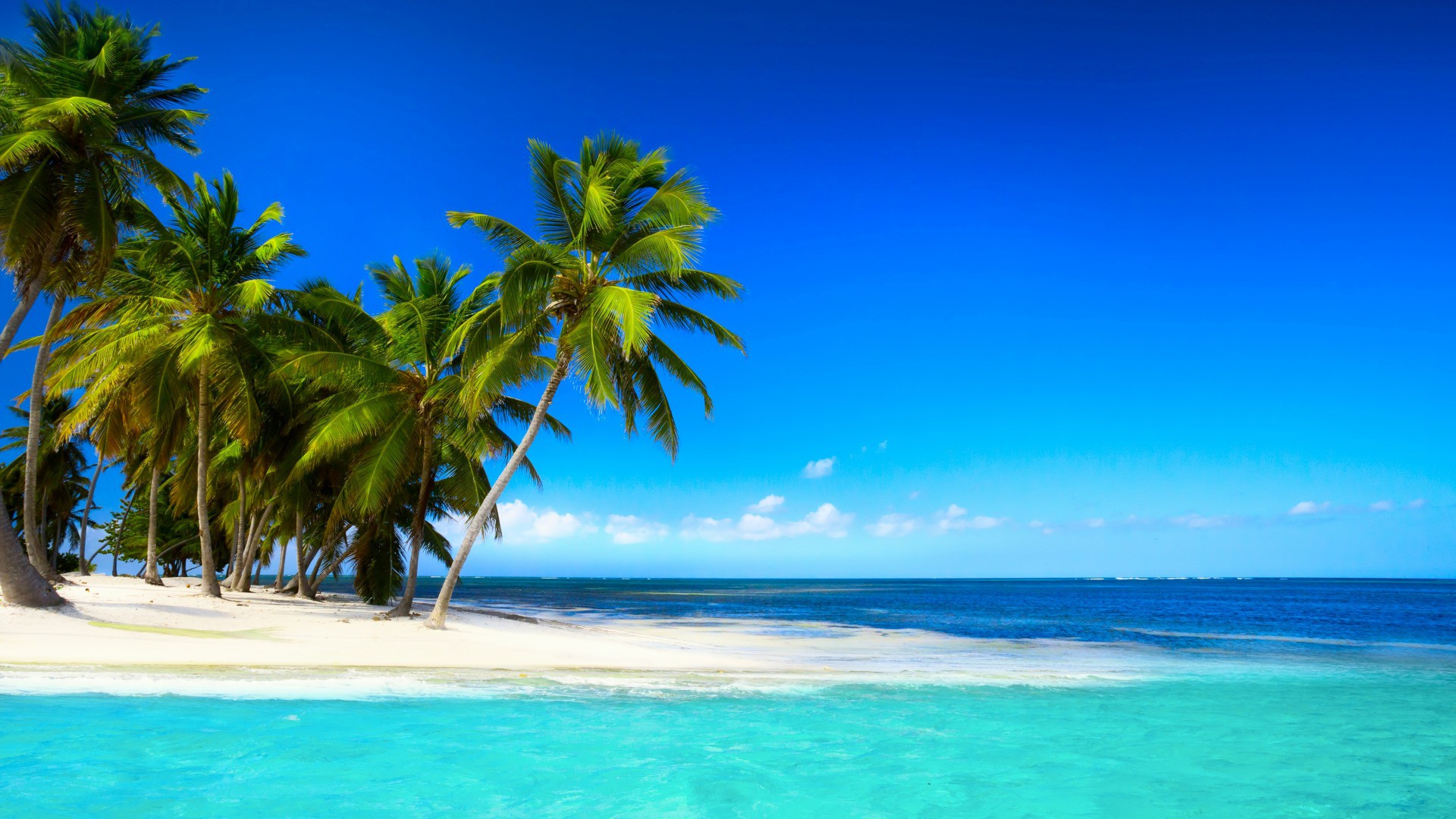 Tropical Beach With Palm Trees Beautiful Sky Blue Sea - Tropical Beaches With Palm Trees - HD Wallpaper 