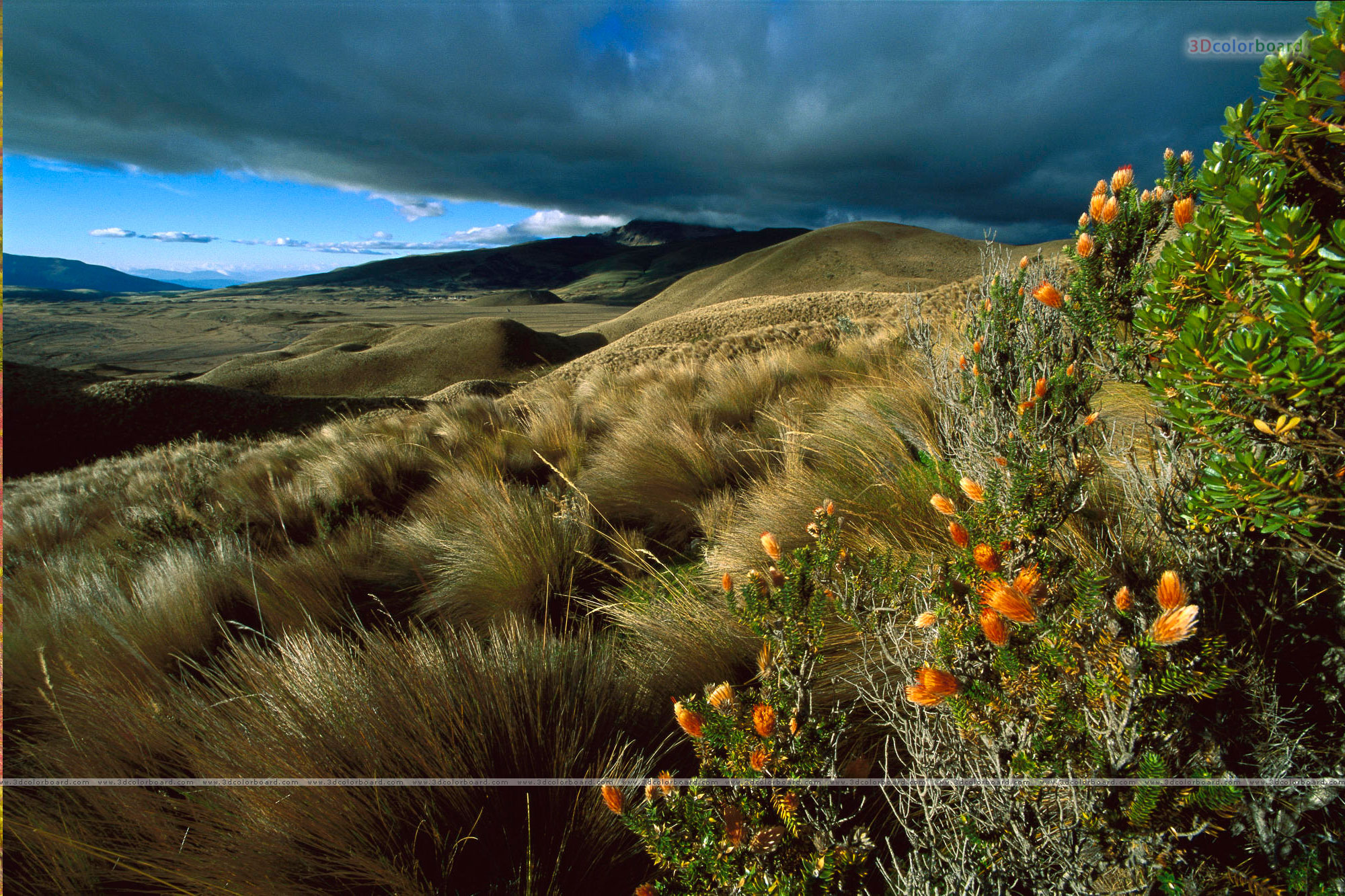 Select Those Landscape Wallpapers, Landscape Pictures, - Paramo Ecuador - HD Wallpaper 