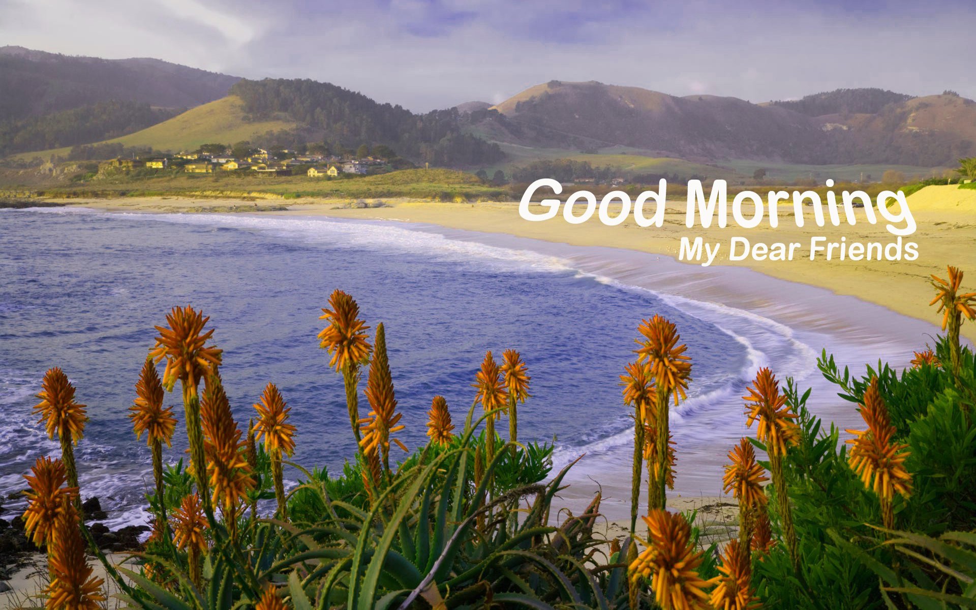 Good Morning Nature Wallpapers And Backgrounds - Hd Wallpaper Good