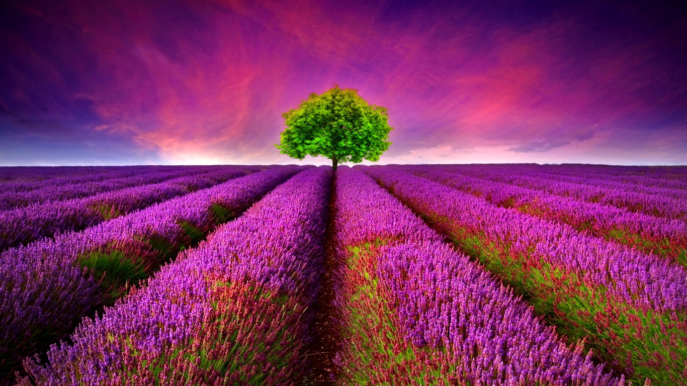 Beautiful Images Of Nature D Wallpaper For Laptop Pic - 3d Nature Wallpaper For Laptop - HD Wallpaper 