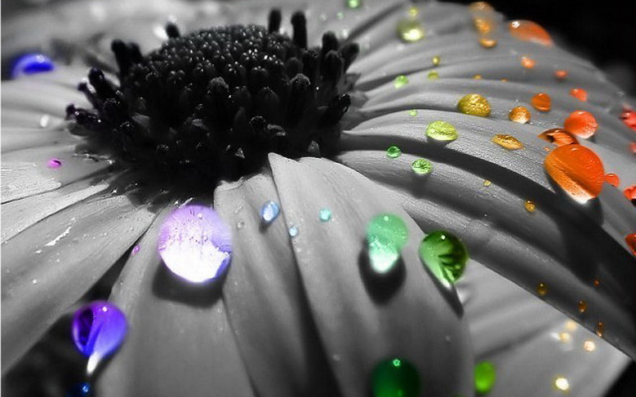 Raindrops - Photography Colorful Rain Drops - HD Wallpaper 