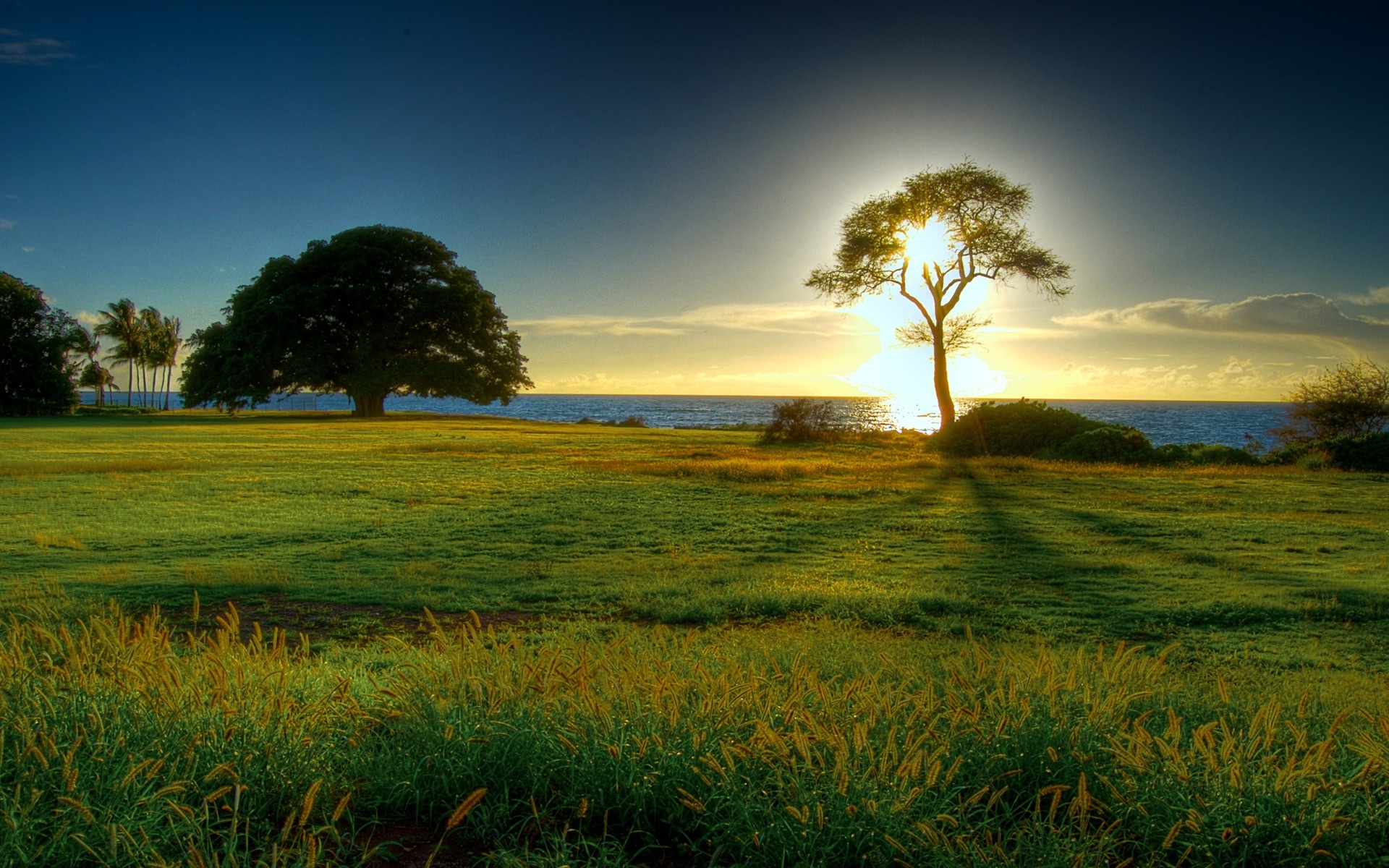 Good Morning Sunshine Nature Wallpapers And Backgrounds - Landscape Desktop Backgrounds Windows 10 - 1920x1200 Wallpaper Good Morning Sunshine Nature Wallpapers And Backgrounds - Landscape Desktop Backgrounds Windows 10 - 1920x1200 Wallpaper
