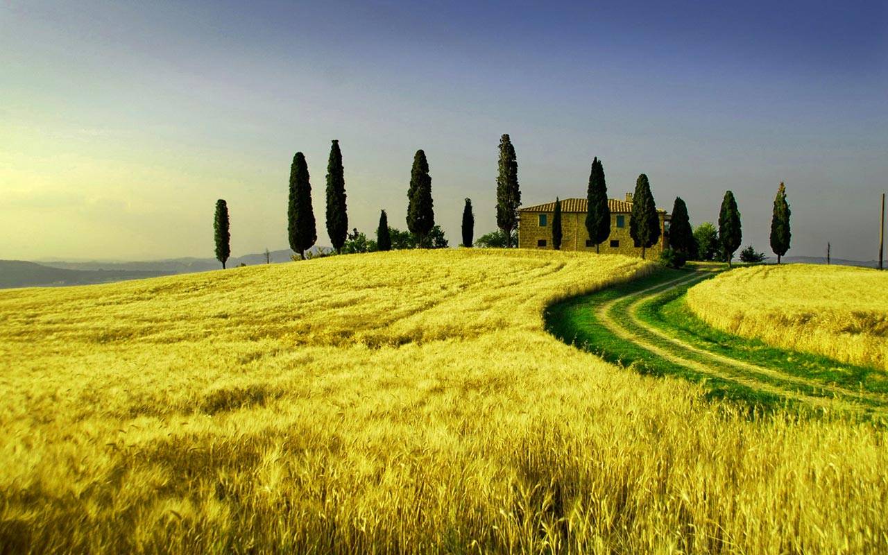 Good Nature Wallpapers For Mobile - Fondos De Pantalla Toscana - HD Wallpaper 