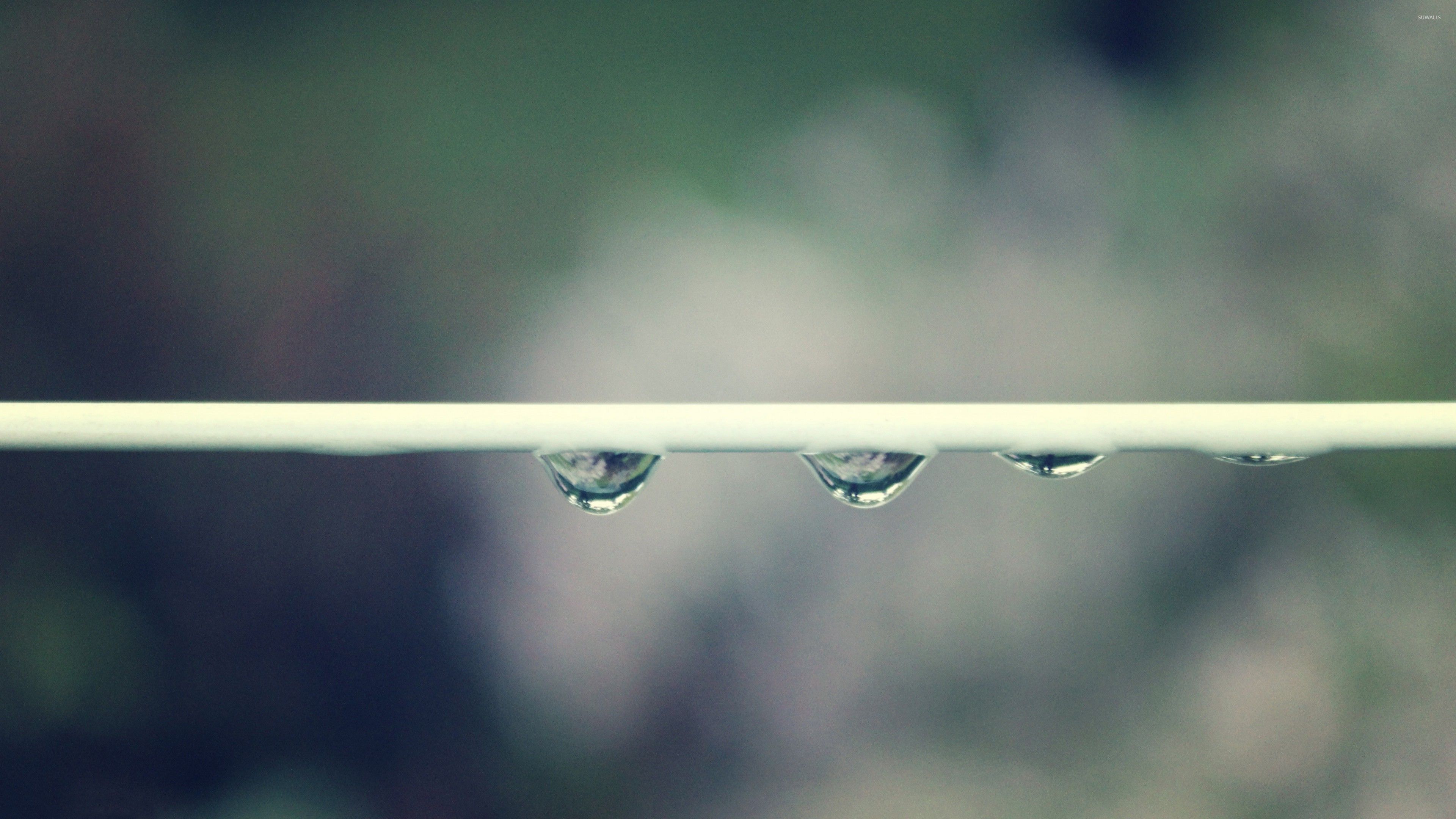 Macro Photography - HD Wallpaper 