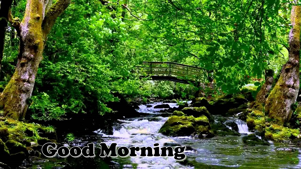 Good Morning Nature Wallpaper - Tributary - HD Wallpaper 