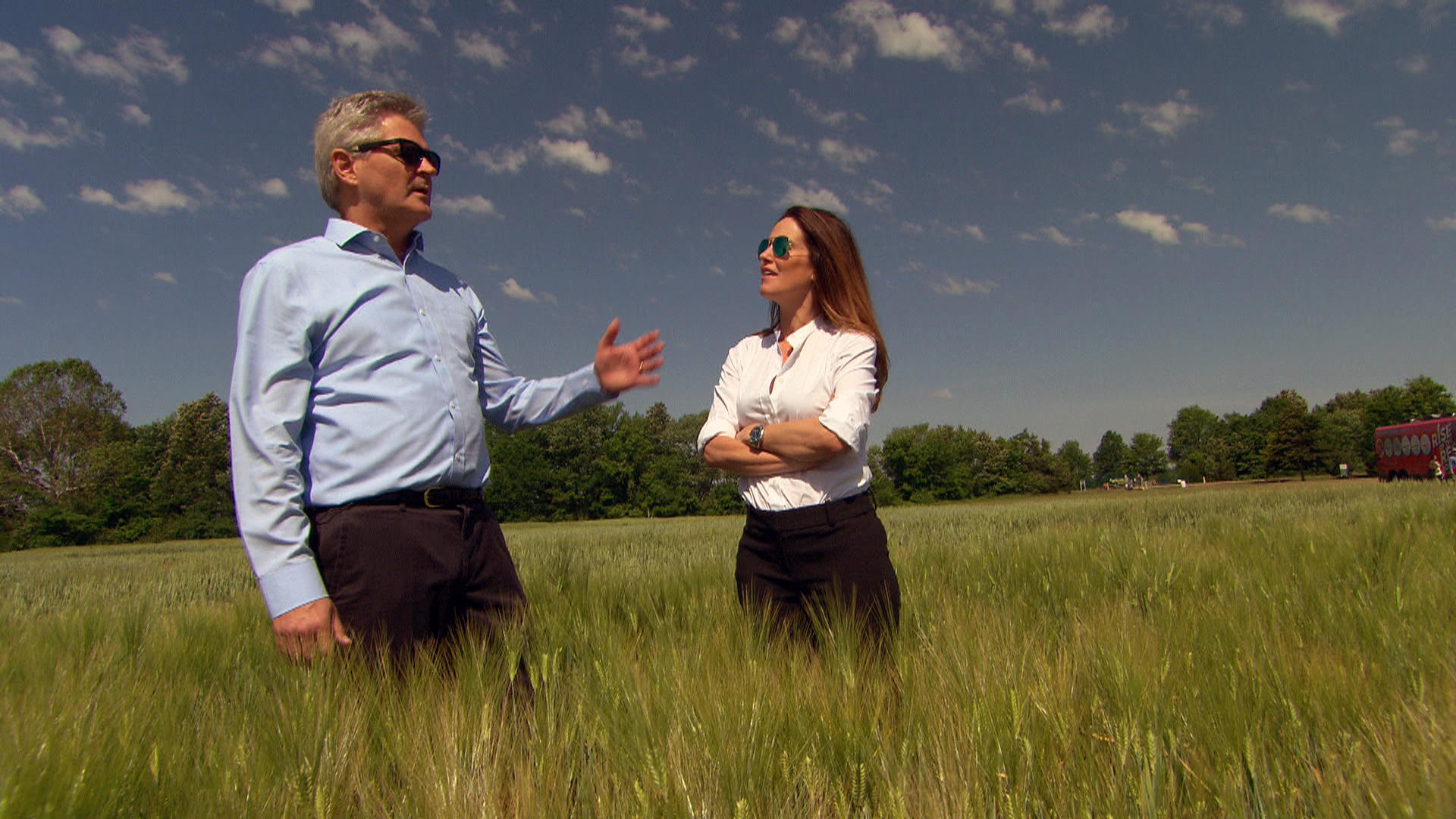 Sweet Grass - HD Wallpaper 