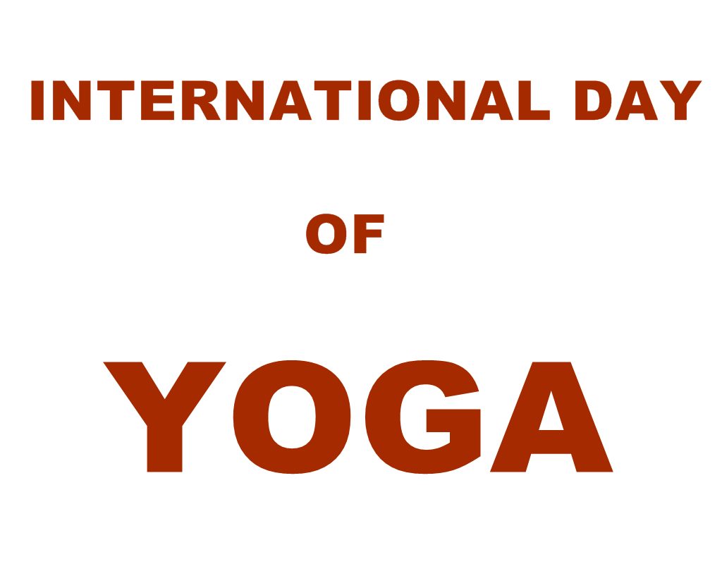 New Year Funny Wishes For Online Jeeks - Funny New Year Wishes 2020 - HD Wallpaper 