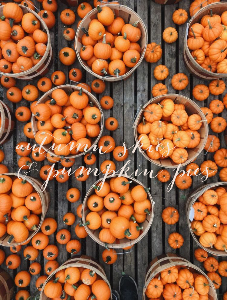 Pumpkin-baskets - Hello Autumn - HD Wallpaper 
