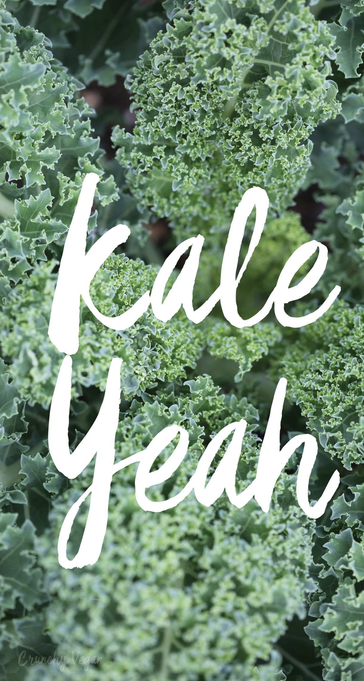 Vegan Phone - HD Wallpaper 