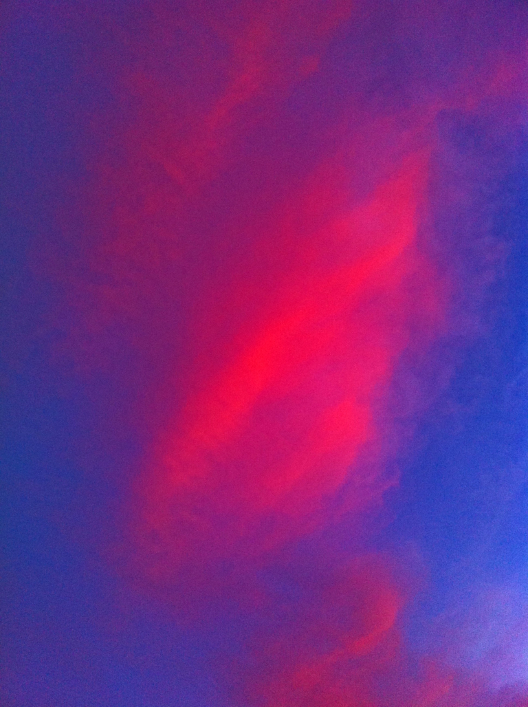 Lilac - HD Wallpaper 