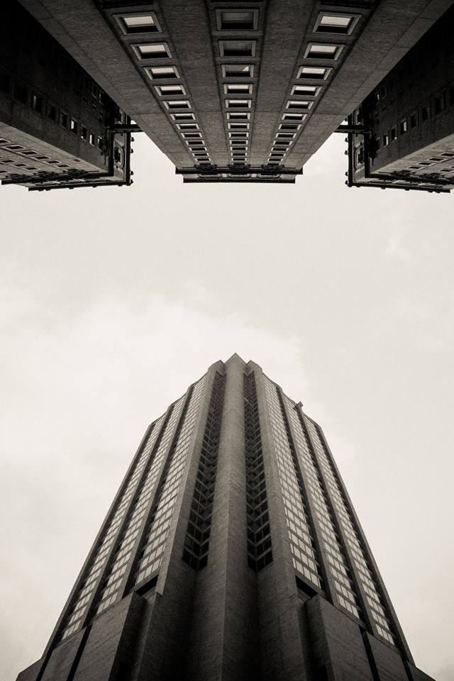 Looking Up Wallpaper - Wallpaper - HD Wallpaper 
