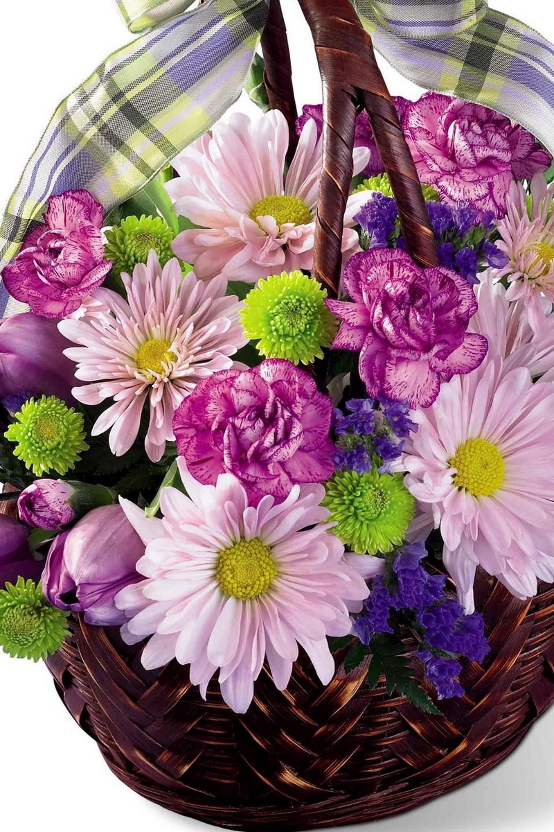 Wallpaper Chrysanthemums, Tulips, Carnations, Basket, - Tulip - HD Wallpaper 
