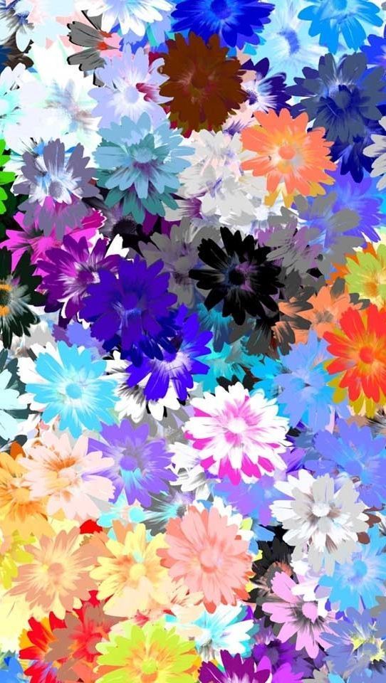 Chic Iphone Wallpaper - Iphone 4 Floral Background - 542x960 Wallpaper