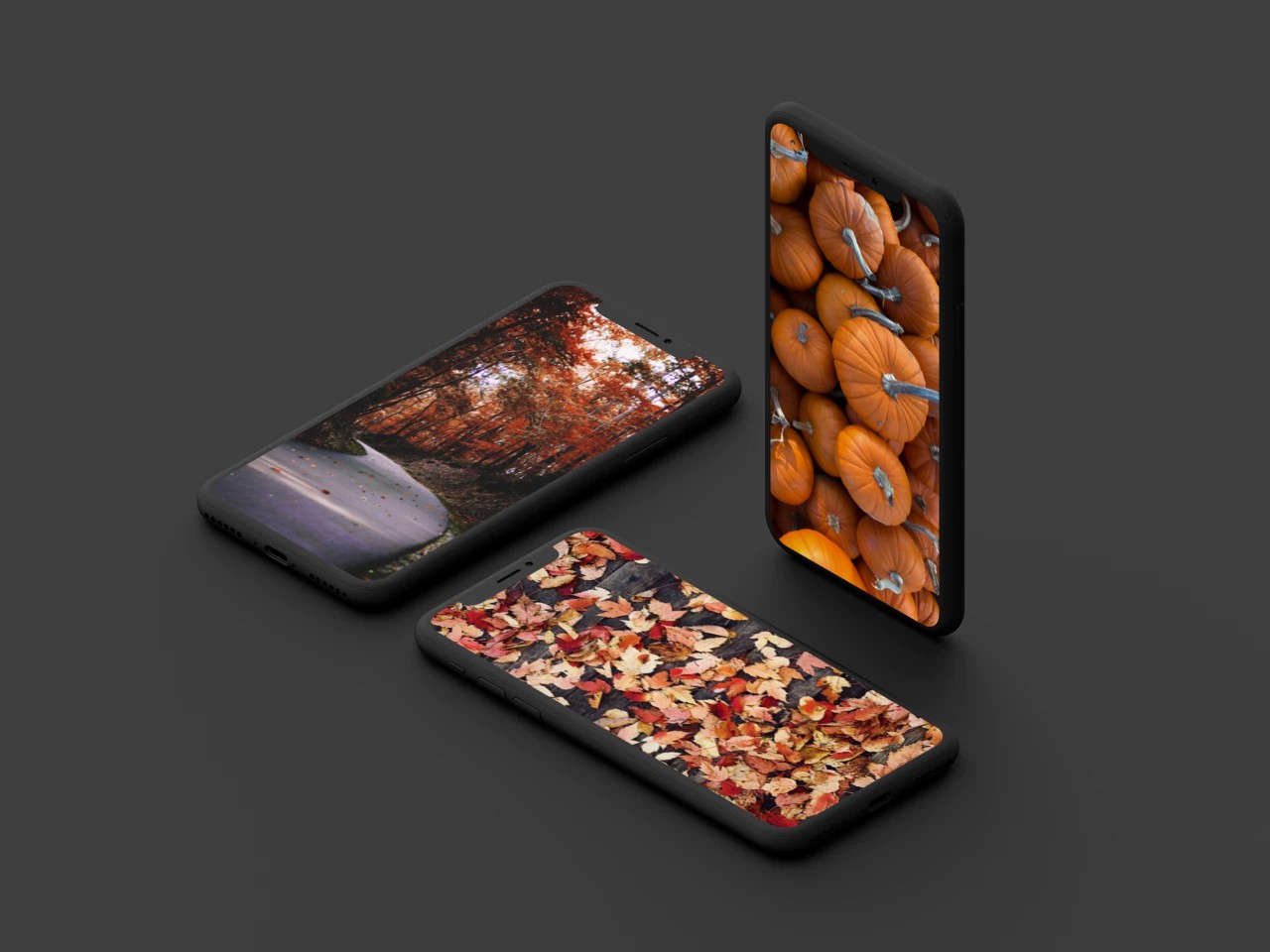 Chocolate - HD Wallpaper 