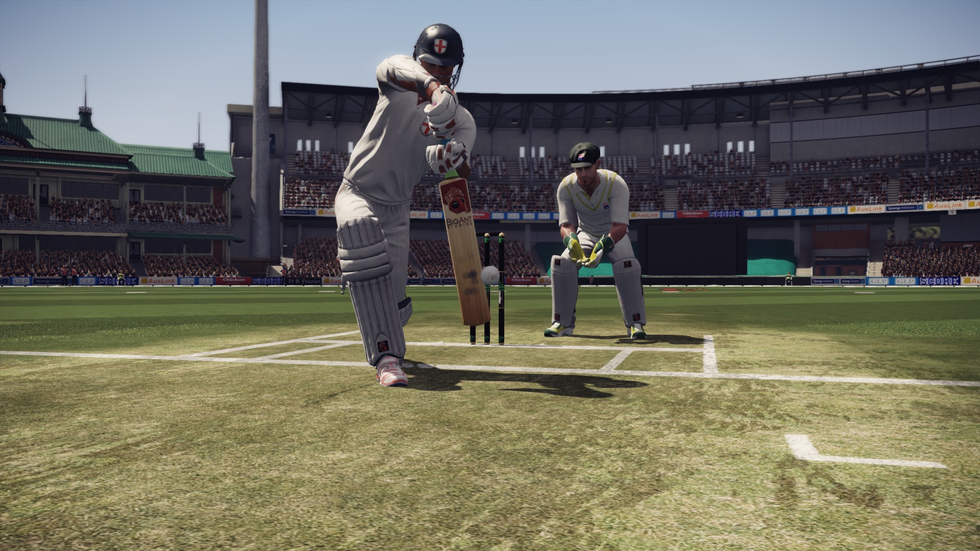 Don Bradman Cricket 17 Background - Grass - HD Wallpaper 