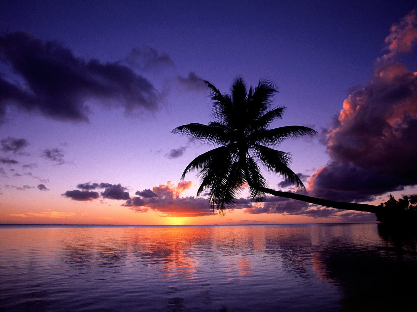 Island Of Bora Bora Hd Wallpapers - Palmier Plage Coucher De Soleil - HD Wallpaper 