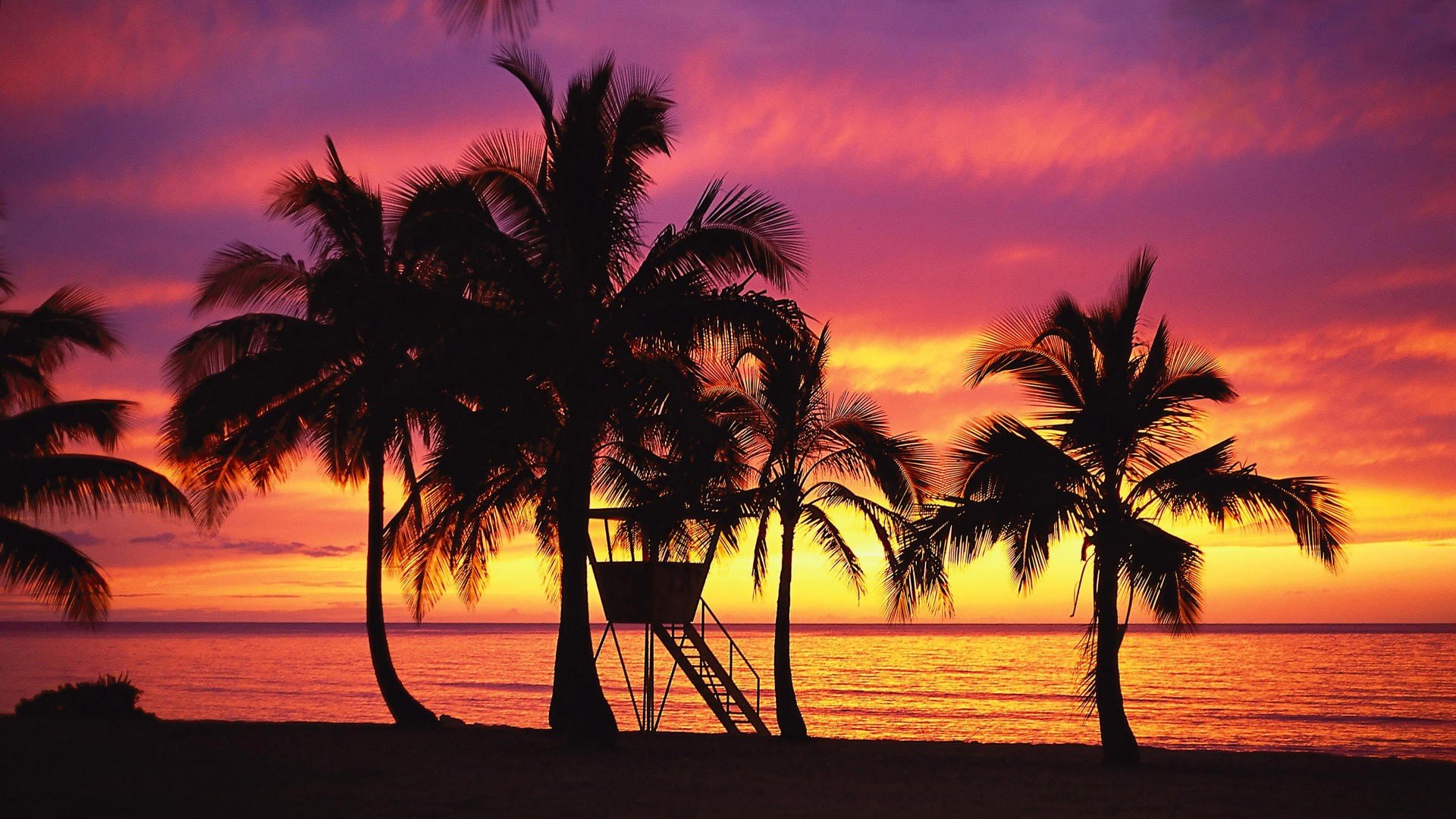 Hawaiian Beach Wallpapers Wallpaper - Palm Trees - HD Wallpaper 