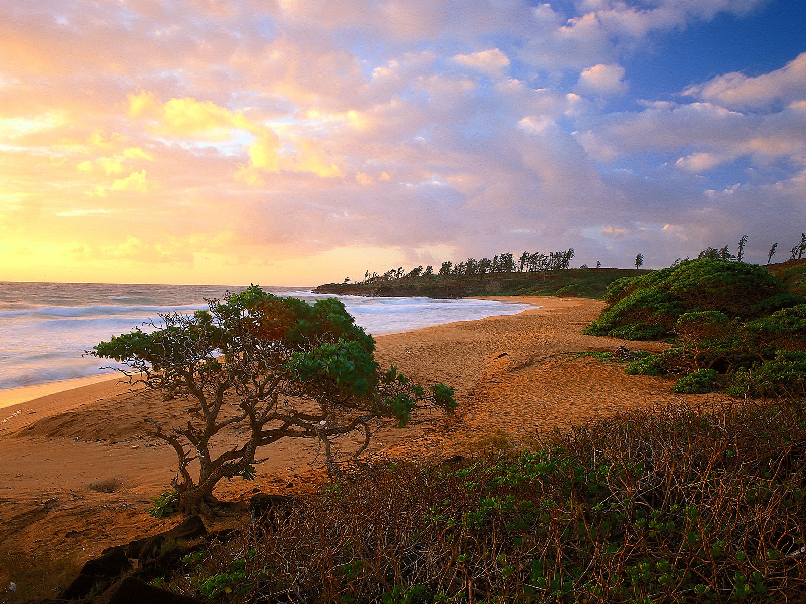 Donkey Beach Kauai Hawaii - Donkey Beach Kauai - HD Wallpaper 