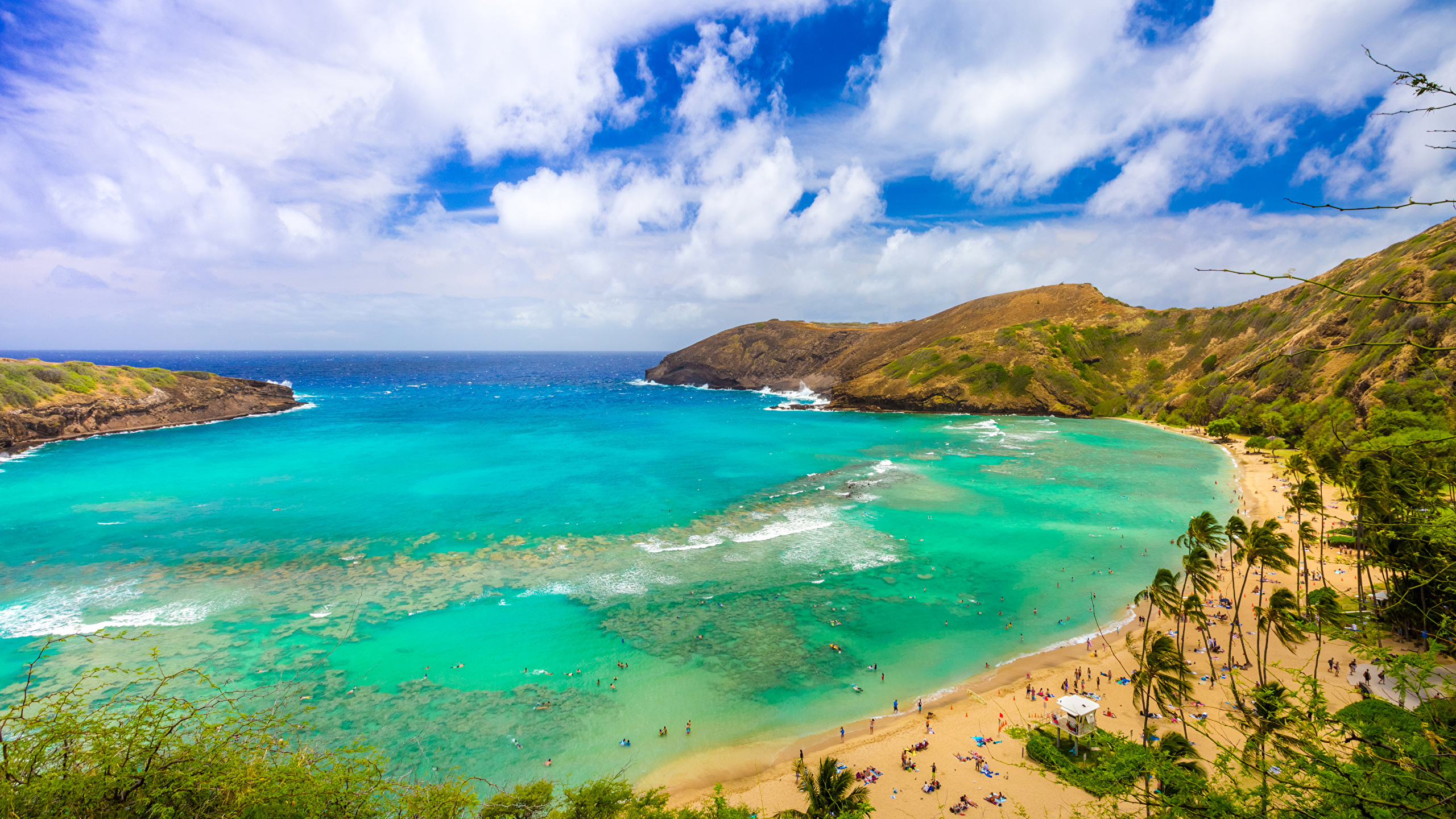 Hanauma Bay - 2560x1440 Wallpaper - teahub.io