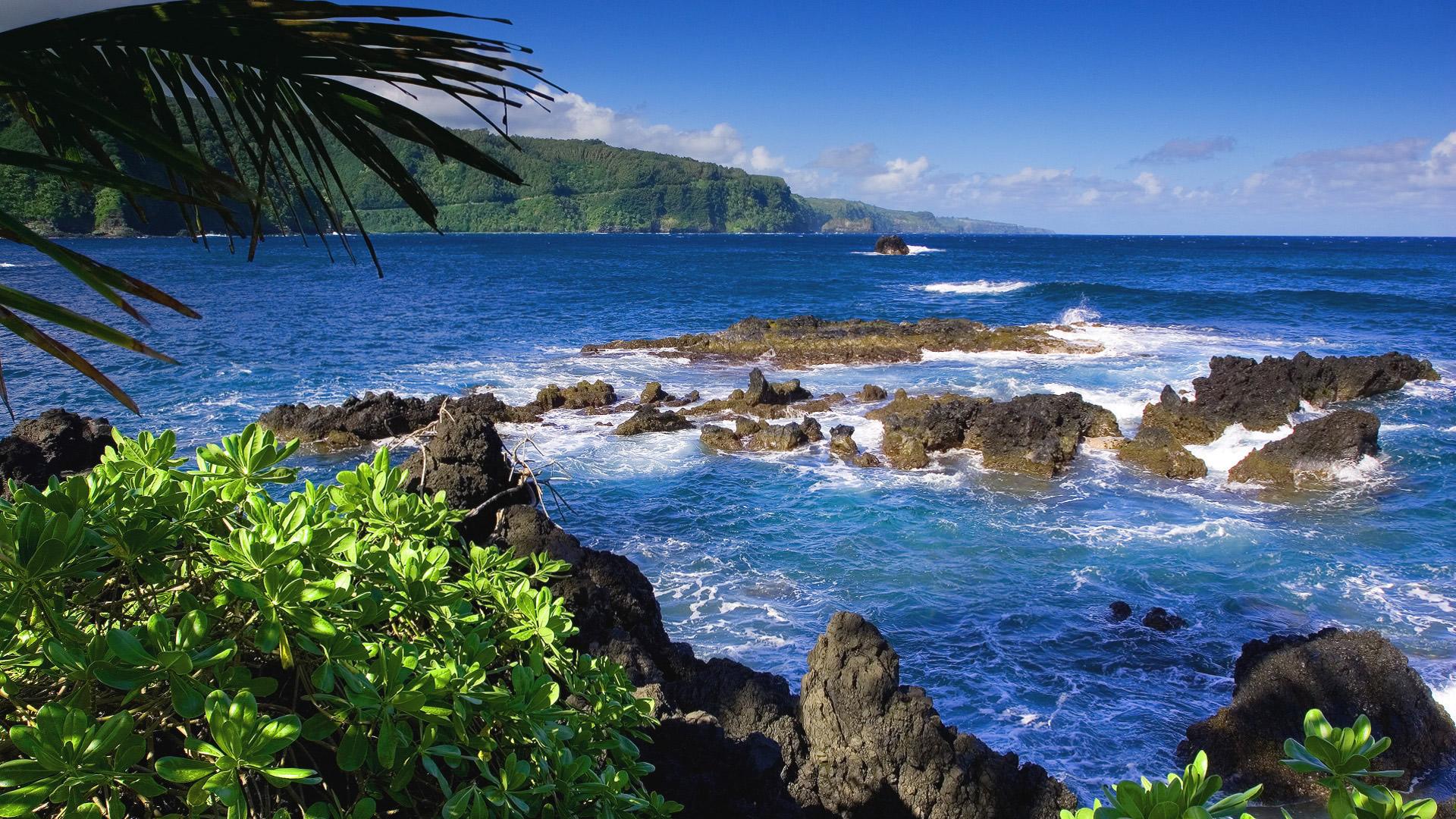 High Resolution Wallpaper Ocean - HD Wallpaper 