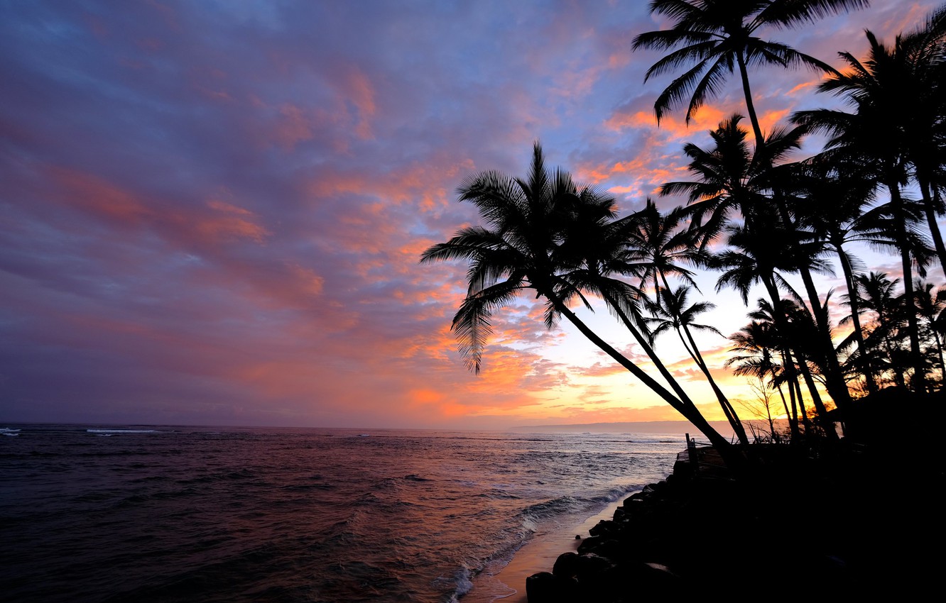 Photo Wallpaper The Sky, Palm Trees, The Ocean, Dawn, - Hawaii Morning Sky - HD Wallpaper 